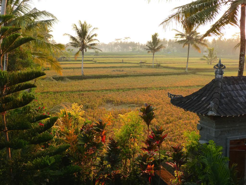 Villa Agung Khalia Ubud  Luaran gambar