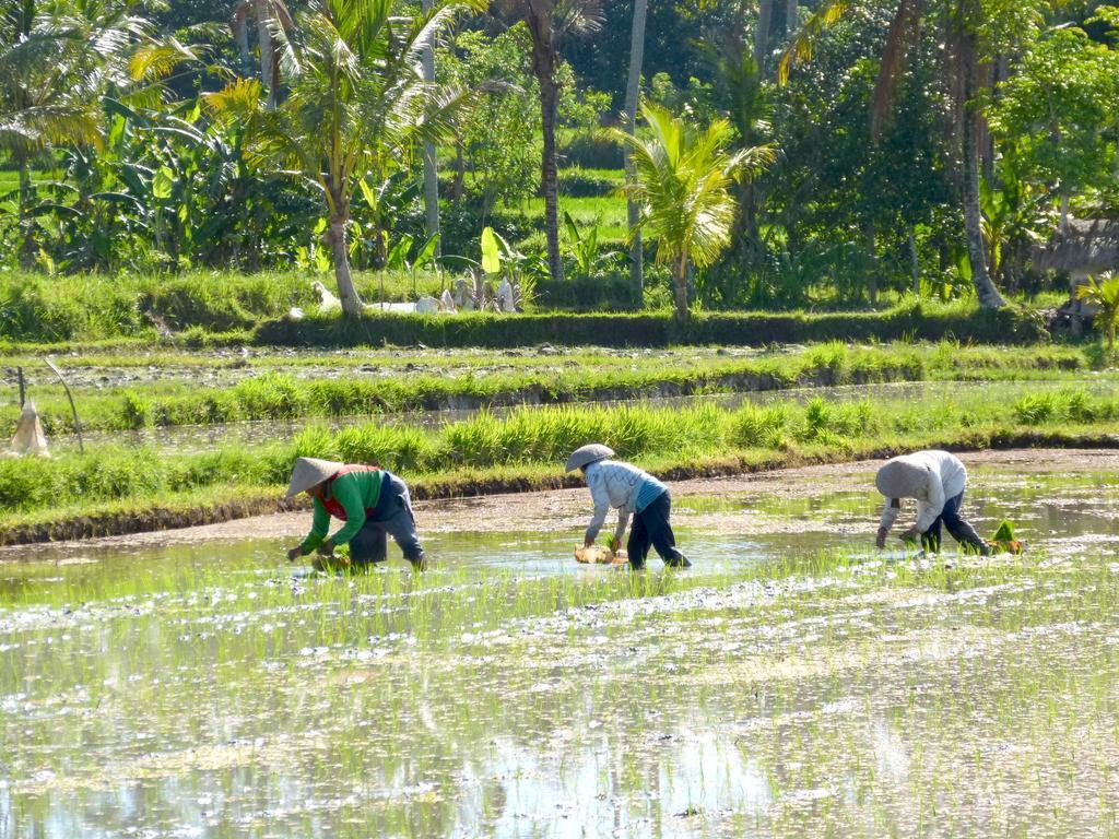 Villa Agung Khalia Ubud  Bilik gambar